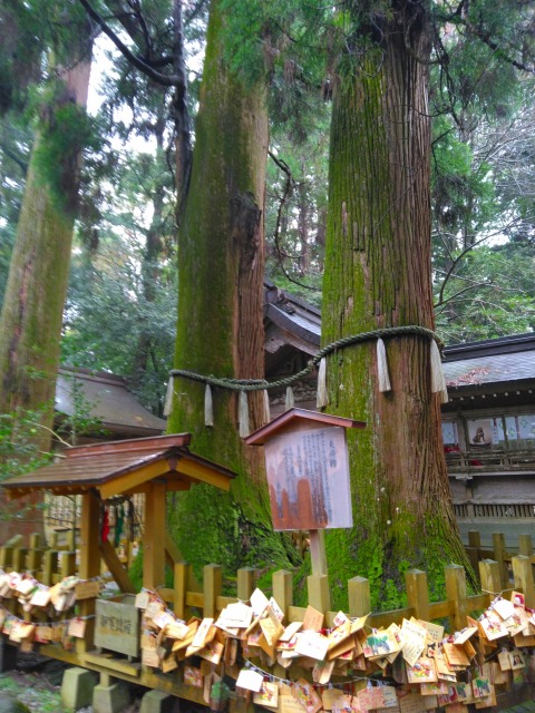 高千穂神社