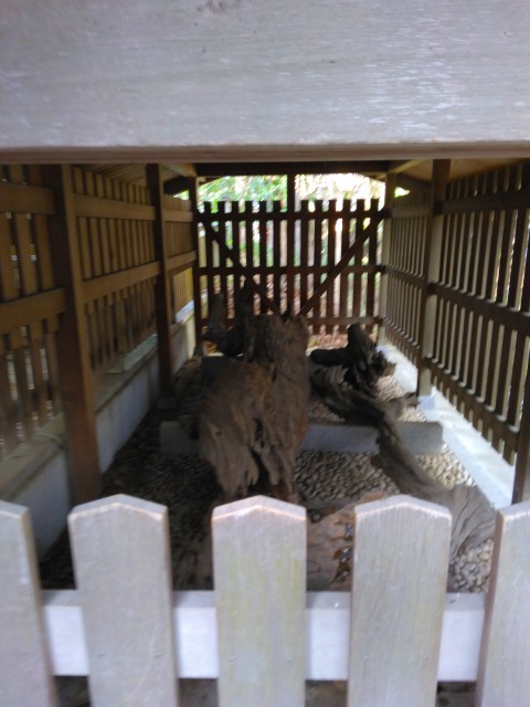 自凝神社（おのころ神社）