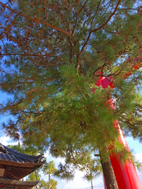 自凝神社（おのころ神社）