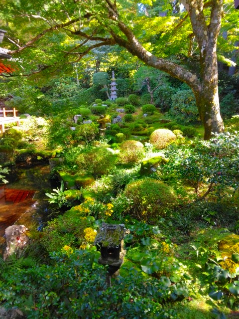 京都大原　三千院