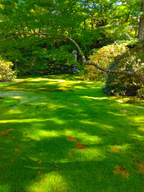京都大原　三千院