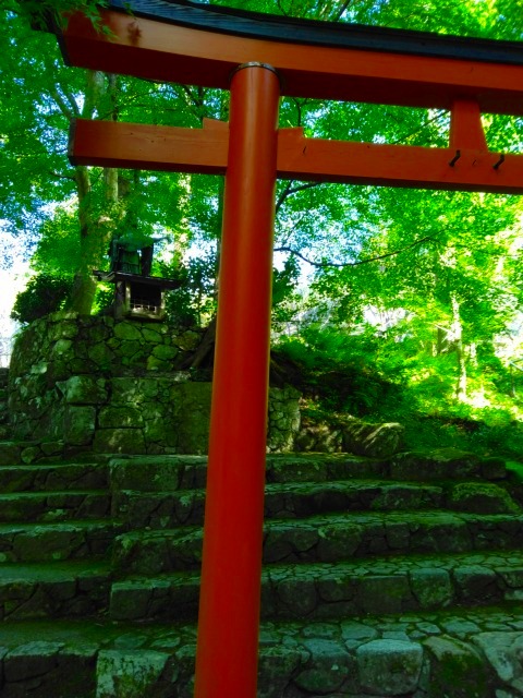 京都大原　三千院