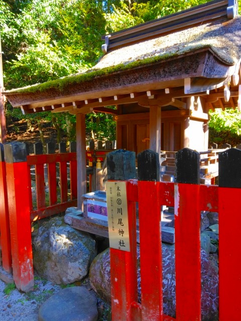 賀茂別雷神社