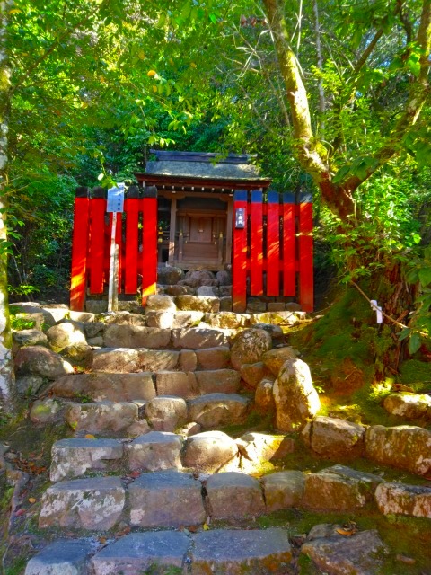賀茂別雷神社