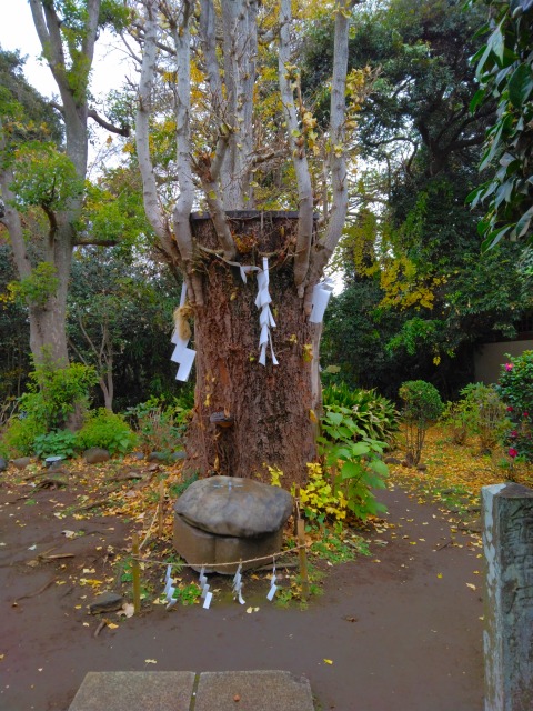 江島神社 奥津宮